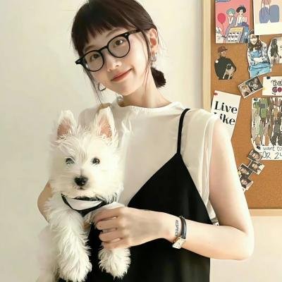 眼镜蛇第三季